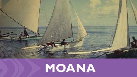 Moana