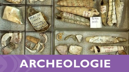 Archéologie