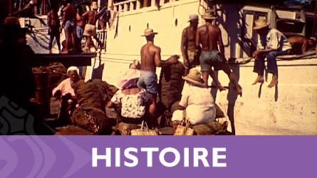 Histoire
