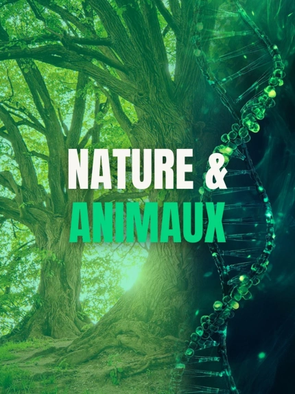 Nature & Animaux