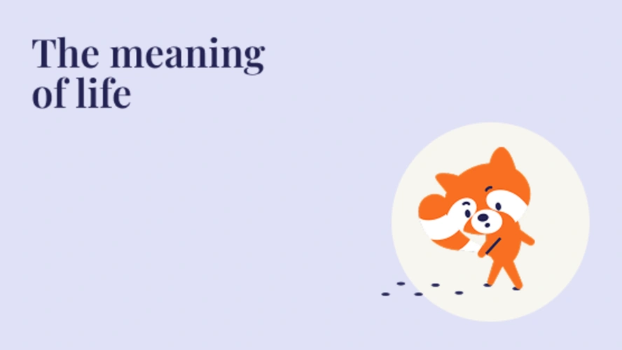 The meaning of life