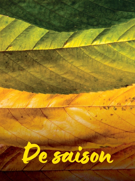 De saison