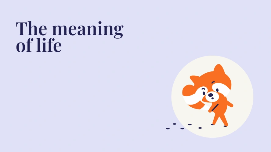The meaning of life