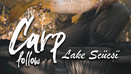 Carp Follow - Lac SZÜCSÏ