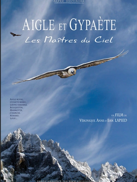 Aigles et Gypaètes, les maîtres du ciel
