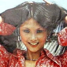 Fan Lei