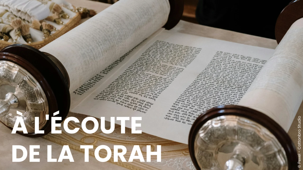 À l'écoute de la Torah