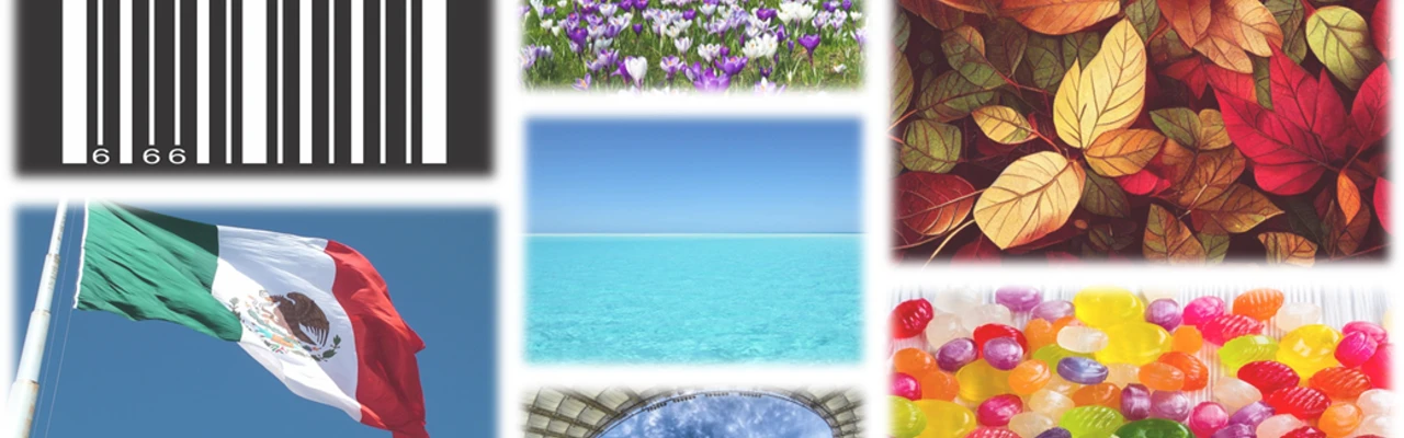 Quiz - Multi-Thèmes 4 - Facile