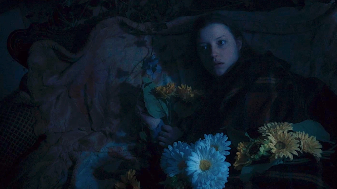 Memories of the Moon