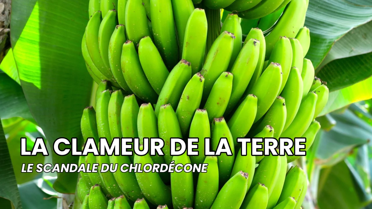 La clameur de la terre