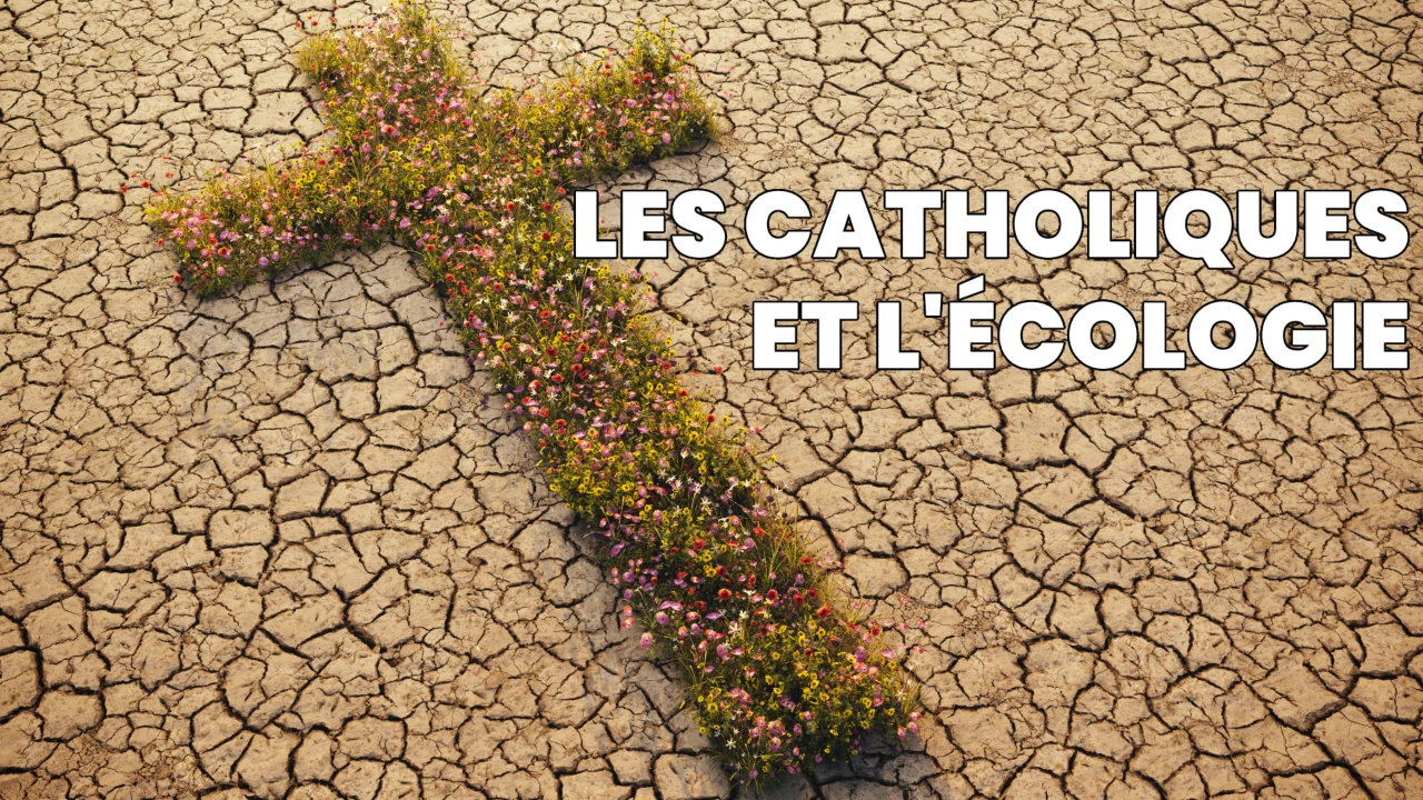 Les catholiques et l'écologie