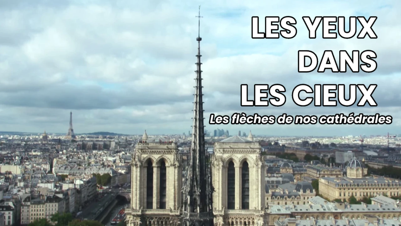 Les yeux dans les cieux - Les flèches de nos cathédrales