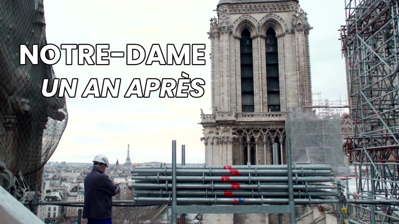 Notre-Dame - Un an après