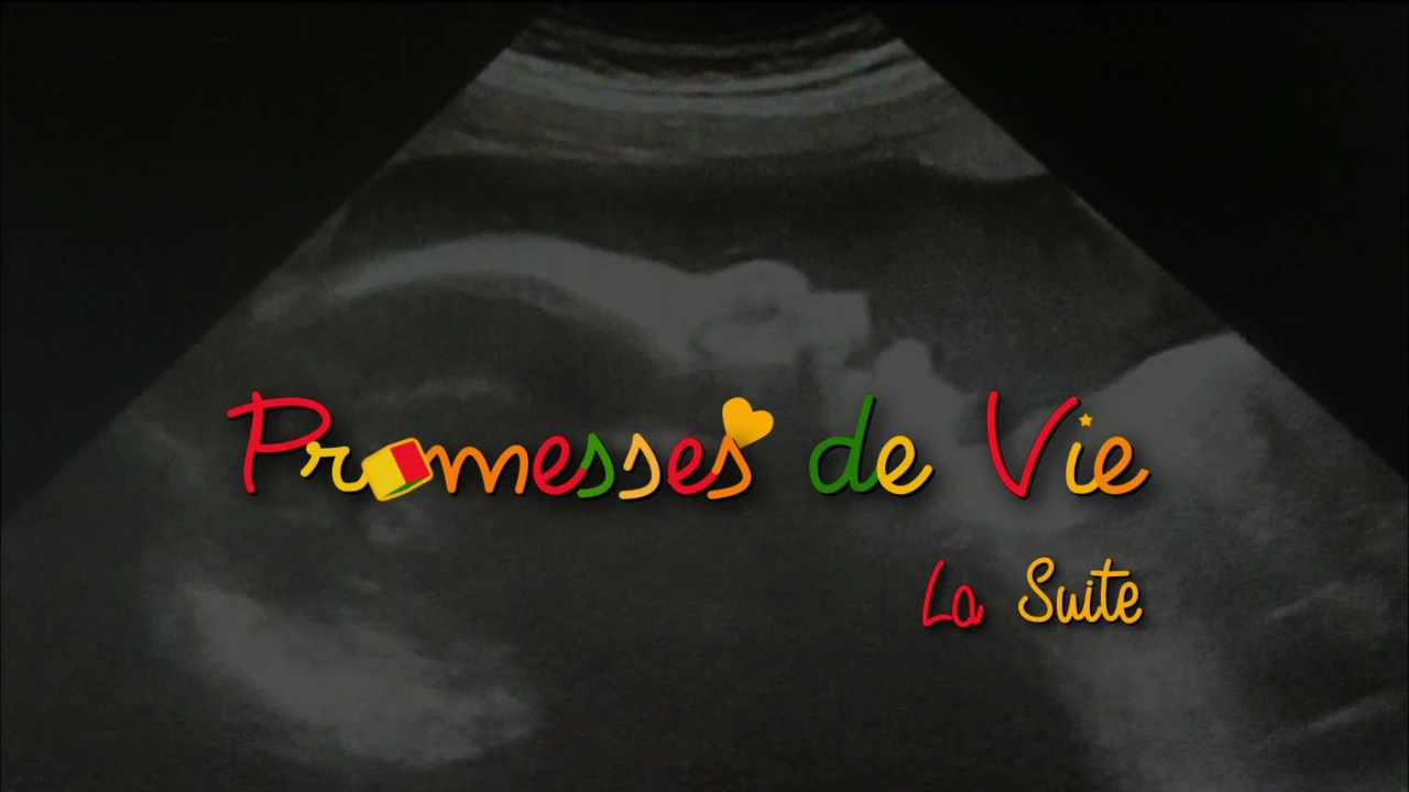 Promesses de vie, la suite