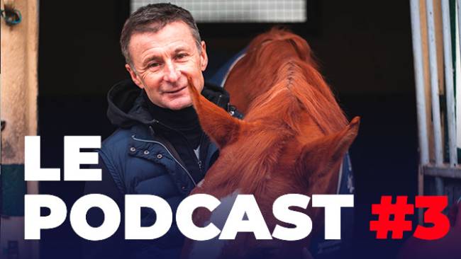 rencontre cavalier belgique