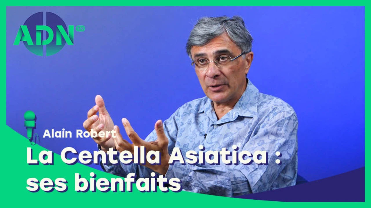 La Centella Asiatica, ses bienfaits