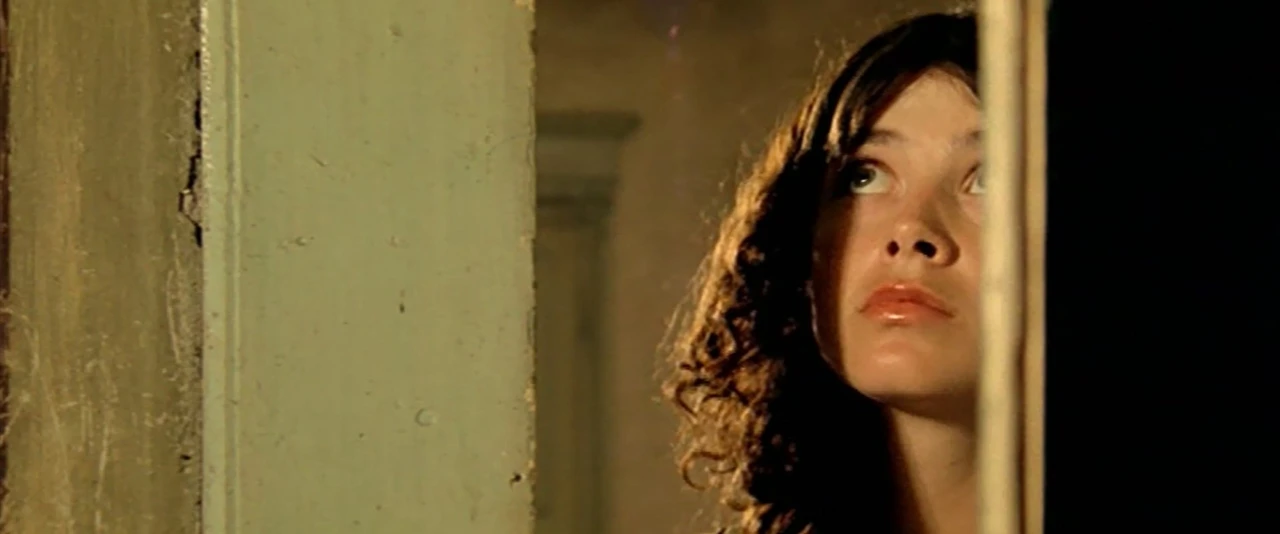 La Maison aux Fenêtres qui Rient