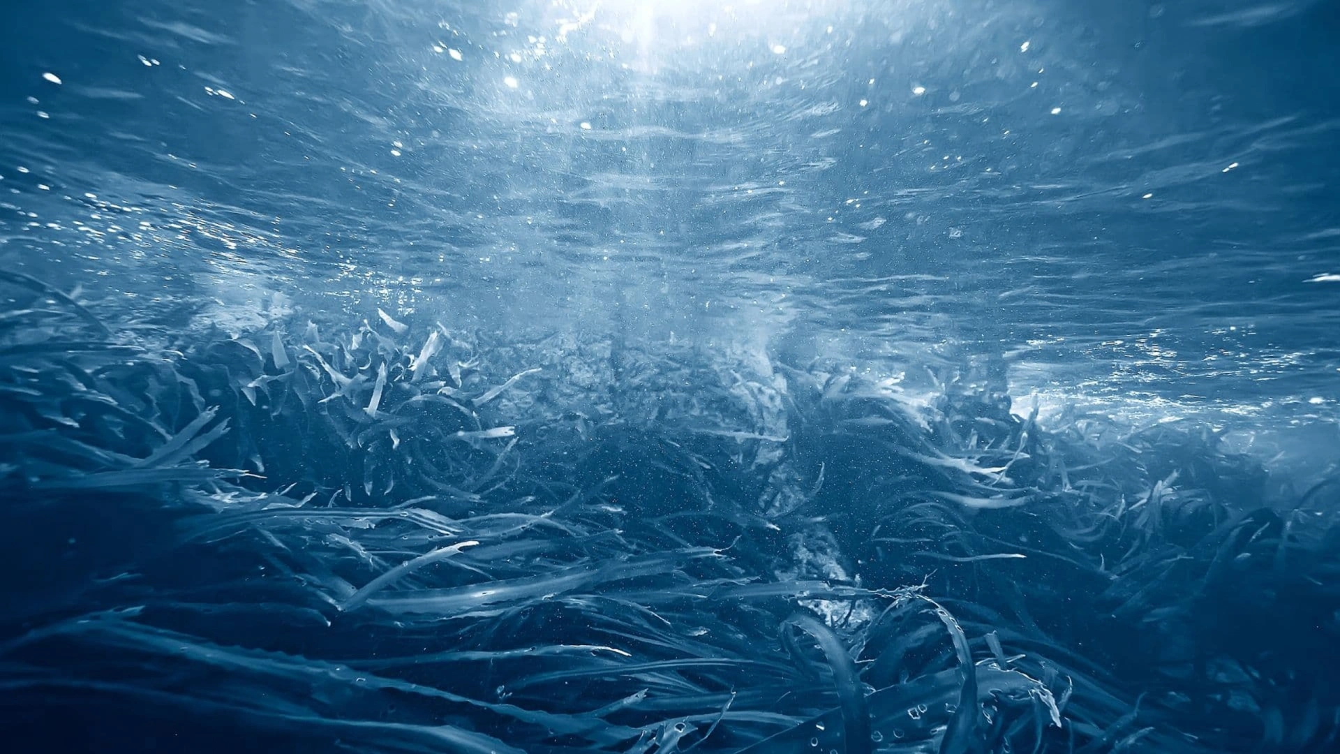 Sébastien Richard - L'eau de mer