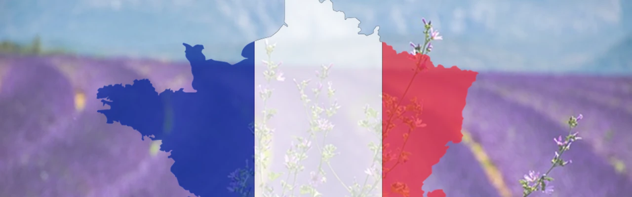 Quiz - Régions de France