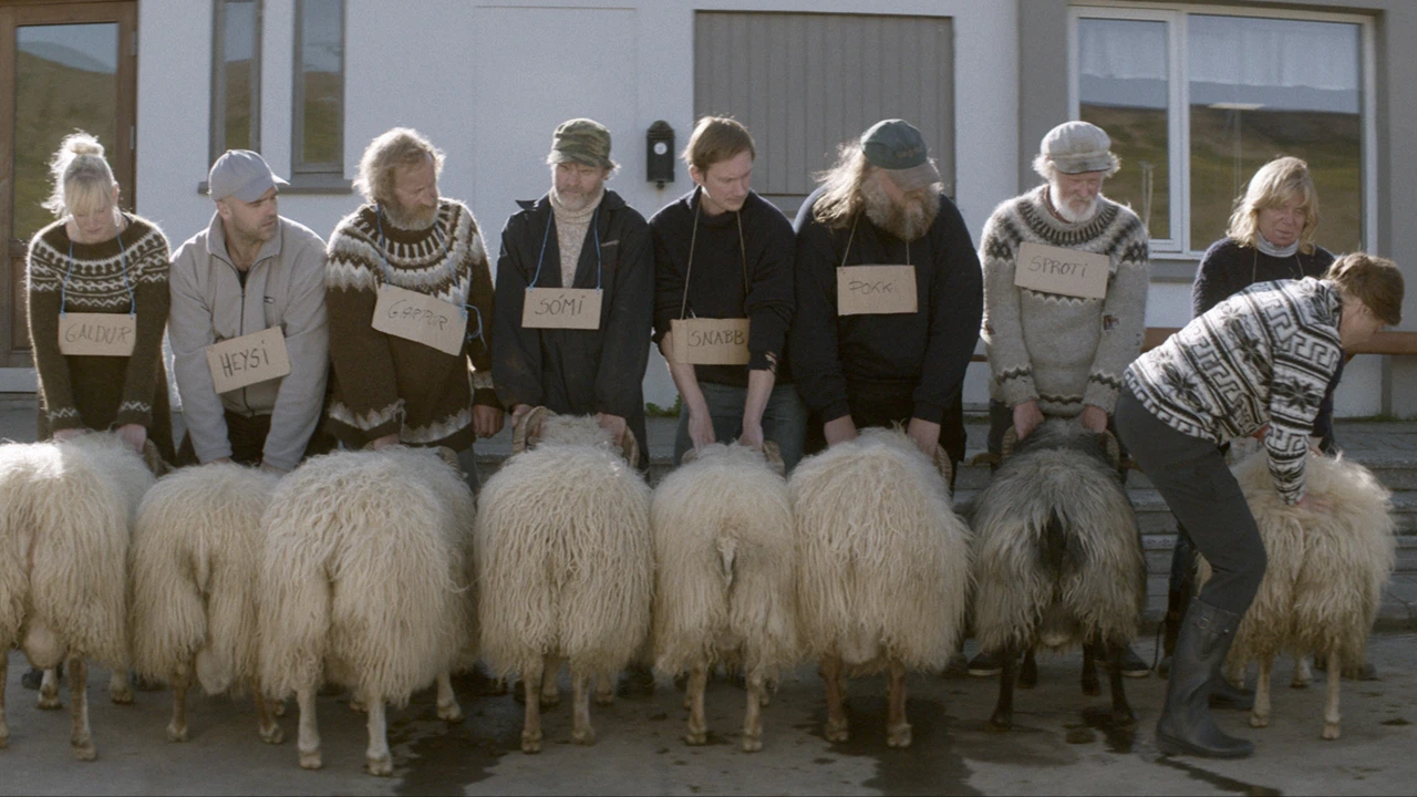 Blandt mænd og får