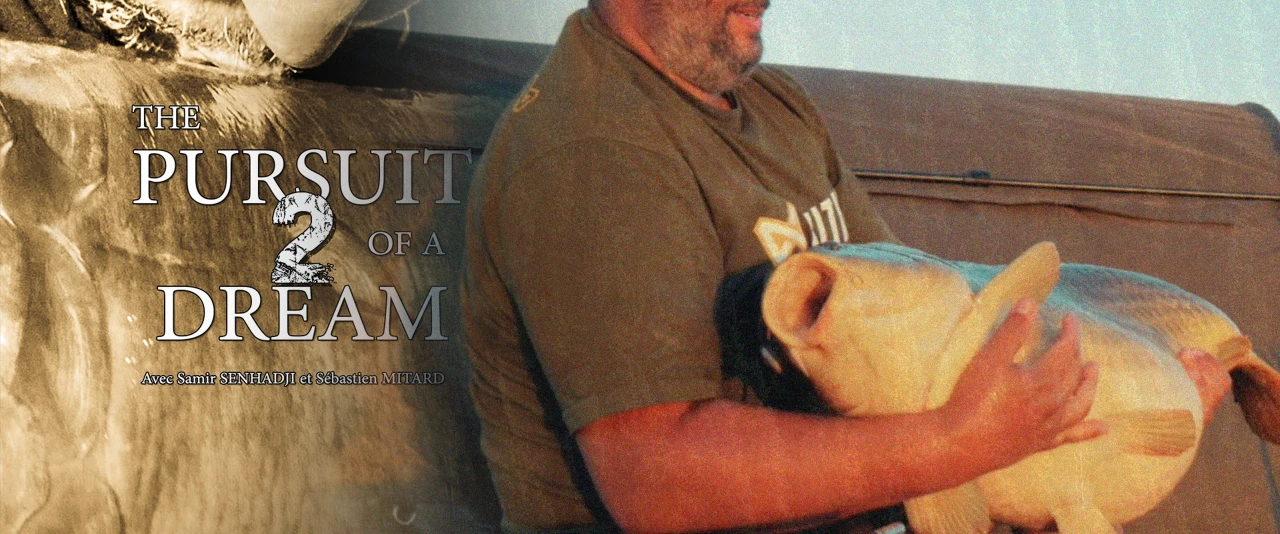 The Pursuit of a Dream Volume 2