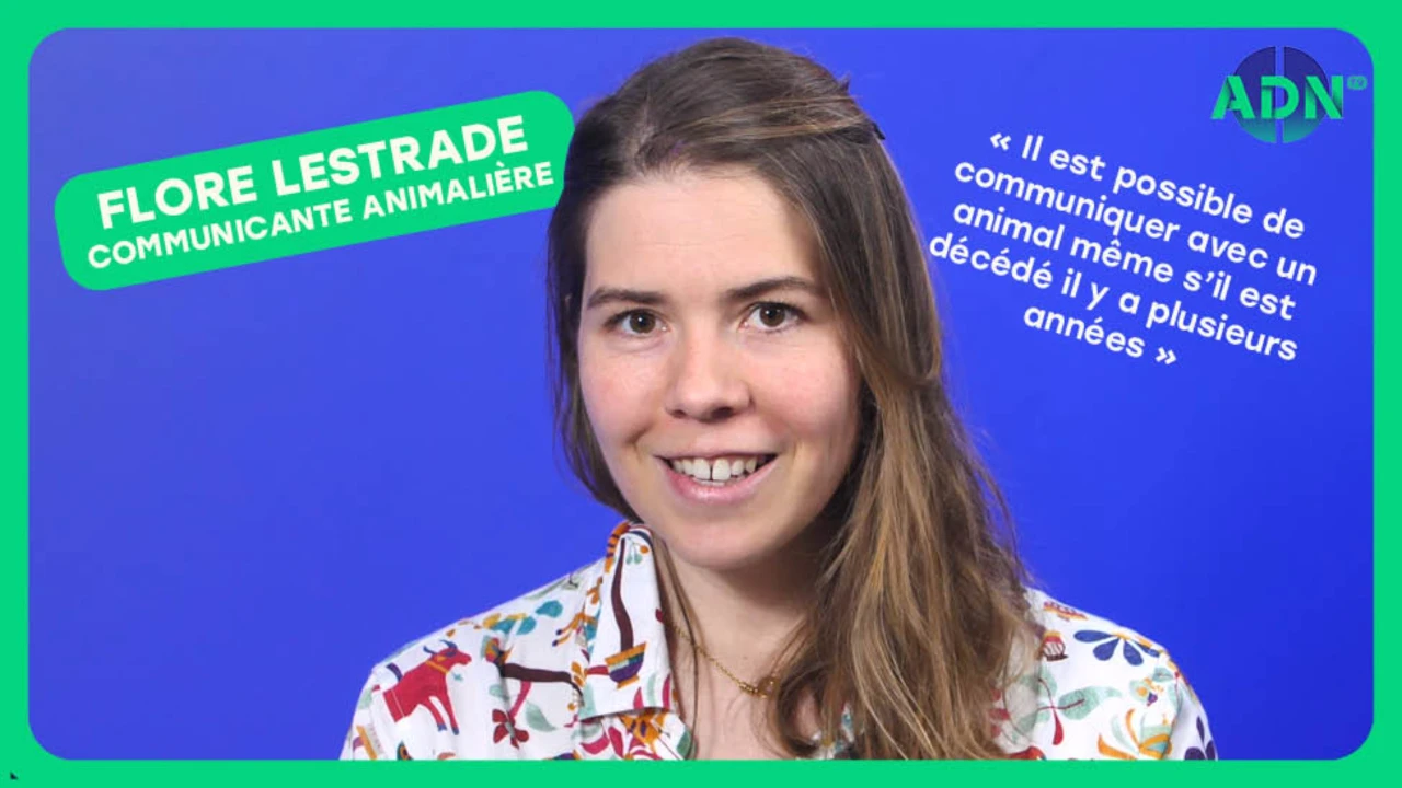 La communication animale et mes expériences