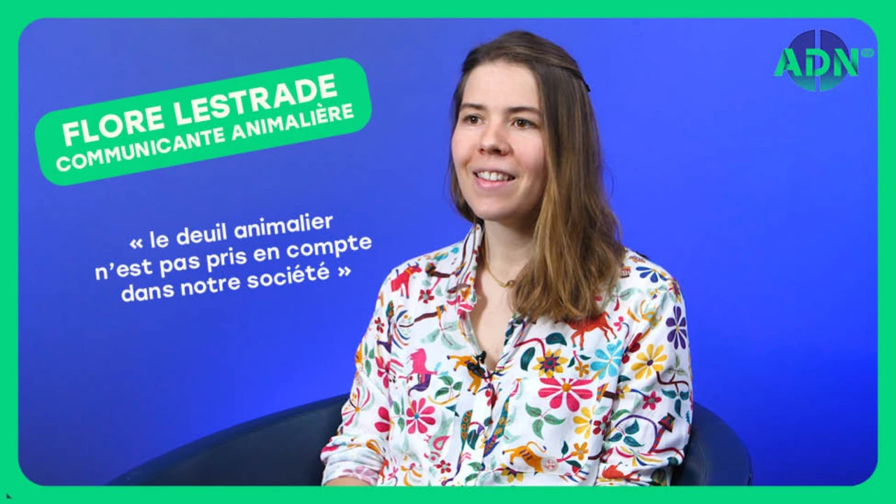 Conseils pour surmonter un deuil animalier