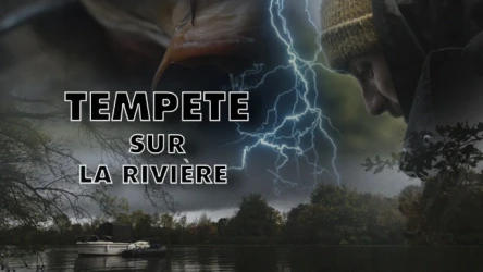 TEMPÊTE SUR LA RIVIÈRE