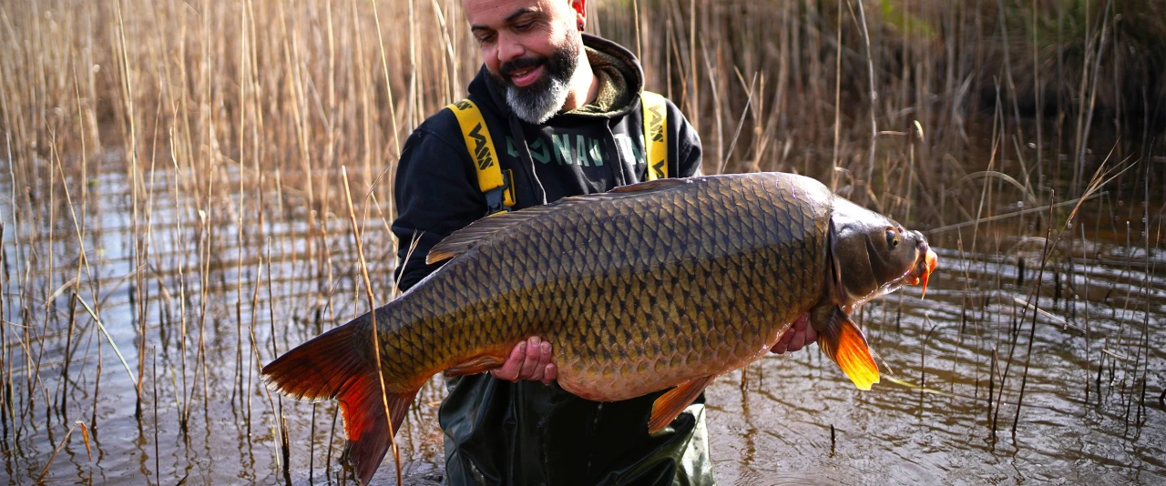 BOUCHES MOLLES ET LINGOTS D'OR - Partie 1