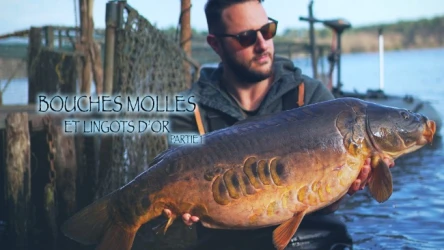 BOUCHES MOLLES ET LINGOTS D'OR - Partie 1