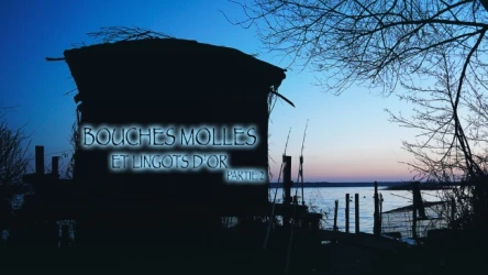 BOUCHES MOLLES ET LINGOTS D'OR - Partie 2