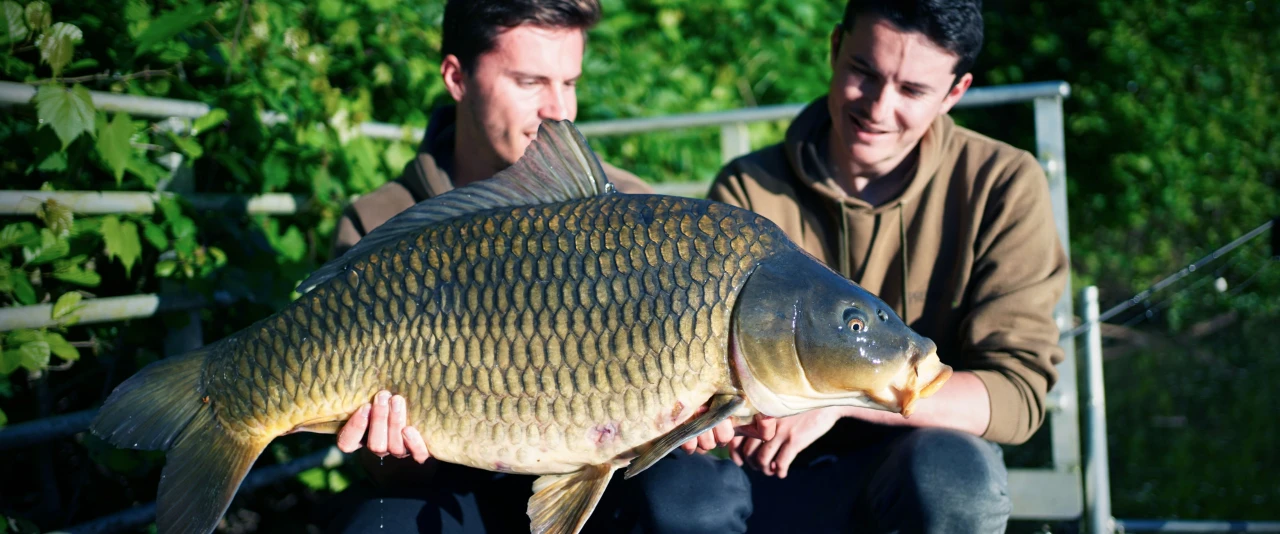 SPEED FISHING On The Lot