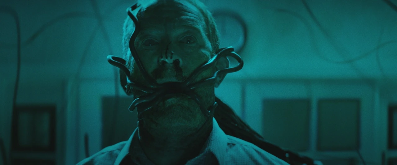 Await Further Instructions