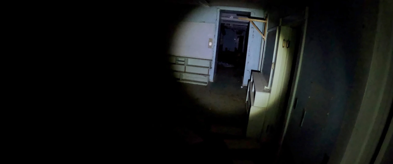 Terror no Deserto 3: Vigilância Florestal