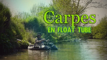 Carpes en Float Tube