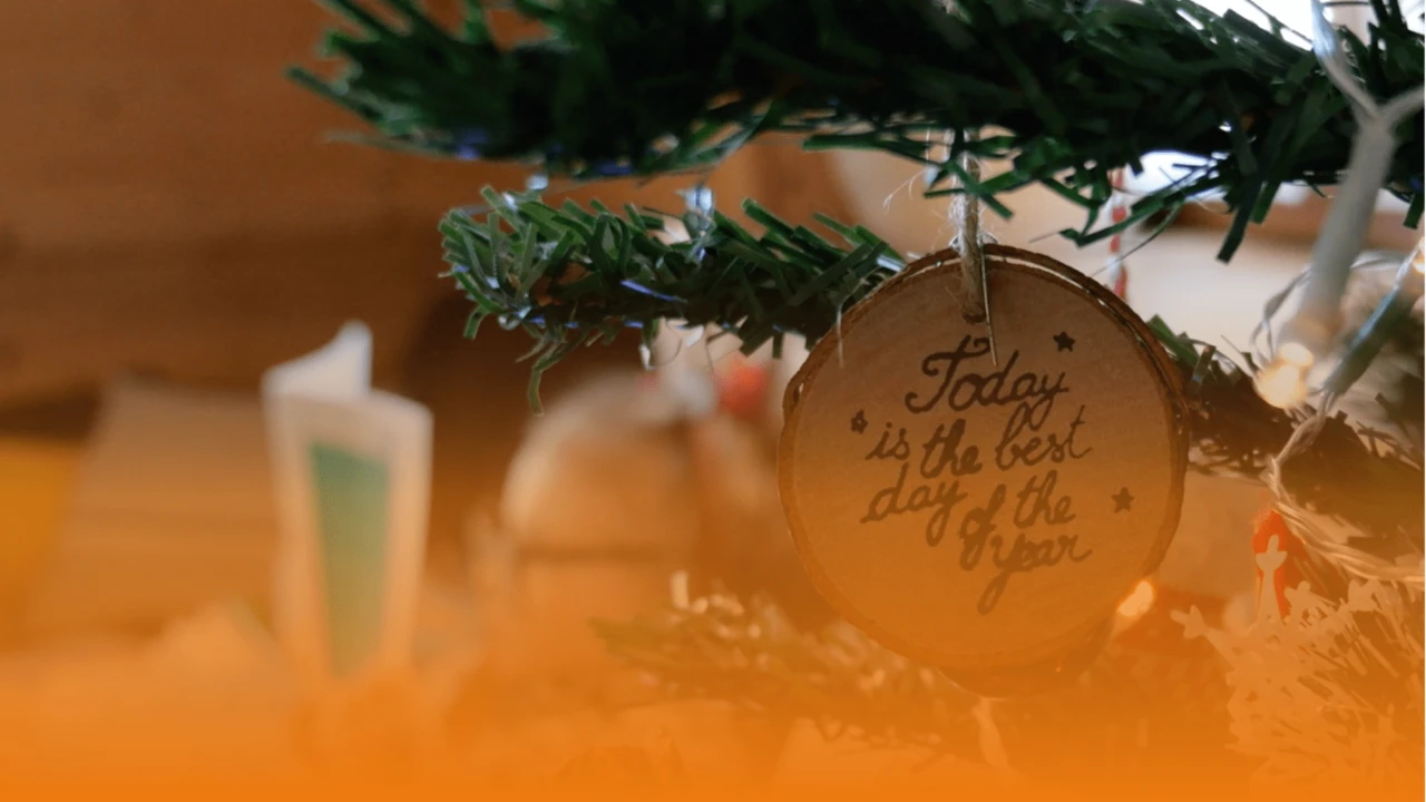 Livres de la transition édition de Noël 2024