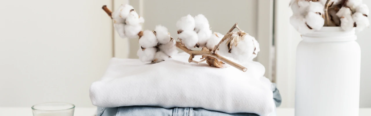 Quiz - Linge de maison