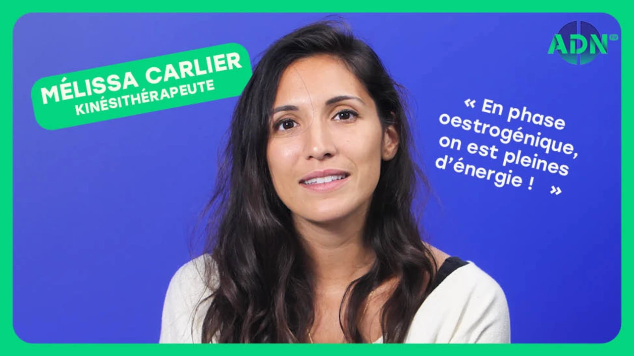 Les différentes phases du cycle menstruel