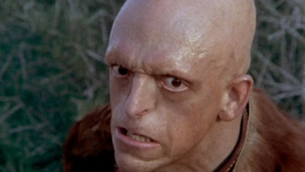 The Hills have eyes