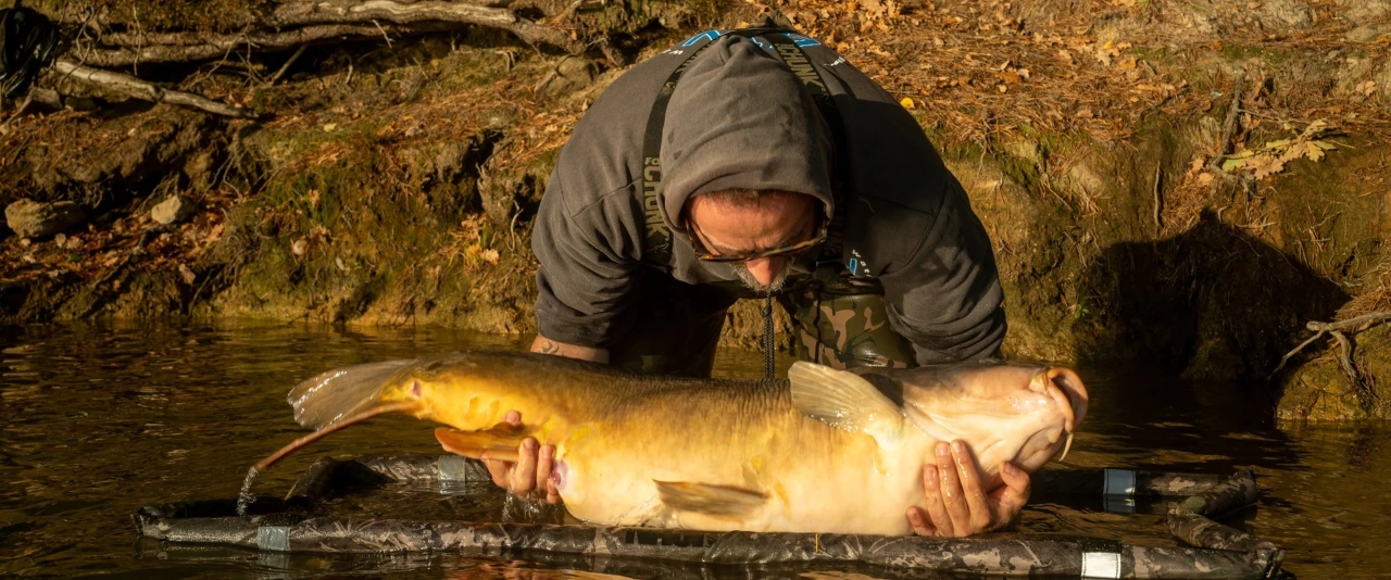 VLOG - TARGET Fish et Champignons - Partie 1
