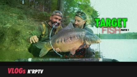 VLOG - TARGET Fish et Champignons - Partie 1