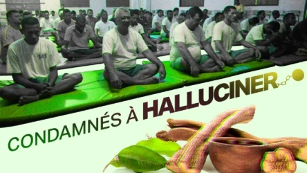 Condamnés à halluciner