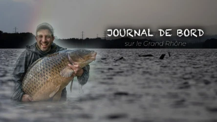 JOURNAL DE BORD SUR LE GRAND RHÔNE