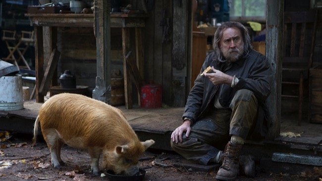 Pig