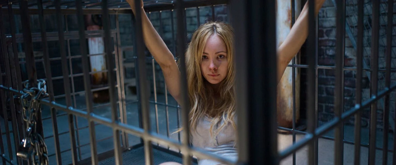 Animal de Estimação