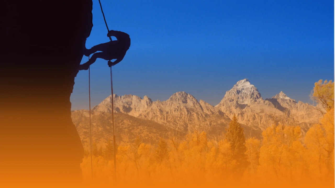 En Rappel, la série rétrospective - Automne 2024