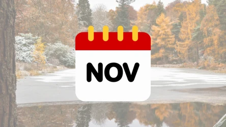 Novembre