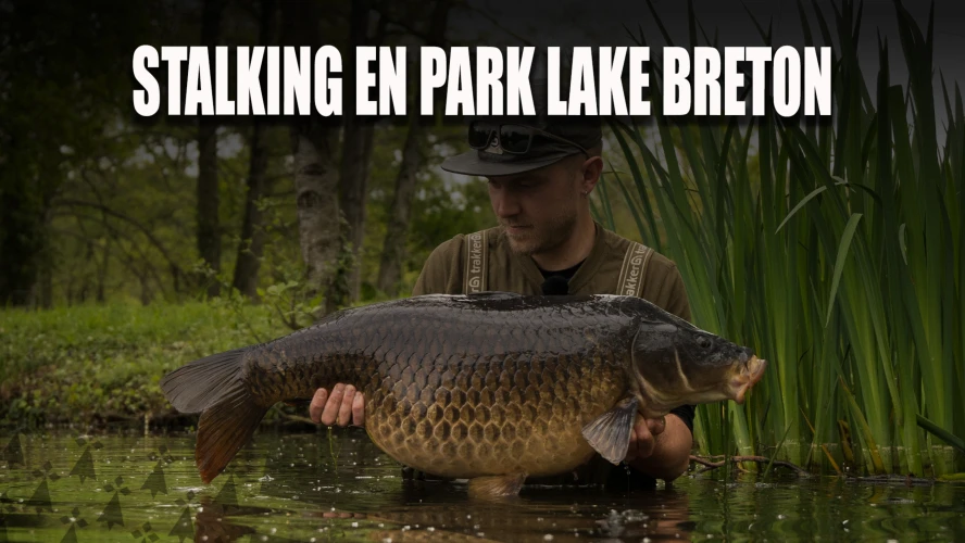 "48H avec" Martin GUILLOT - Stalking en Park Lake Breton