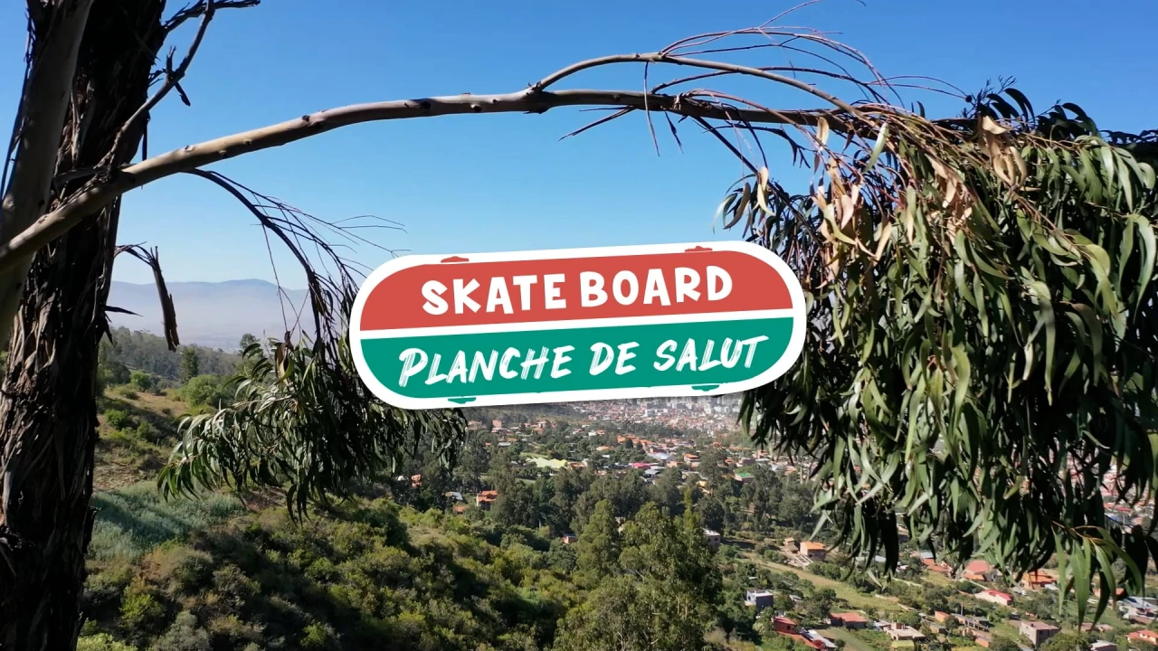 Skateboard, planche de salut