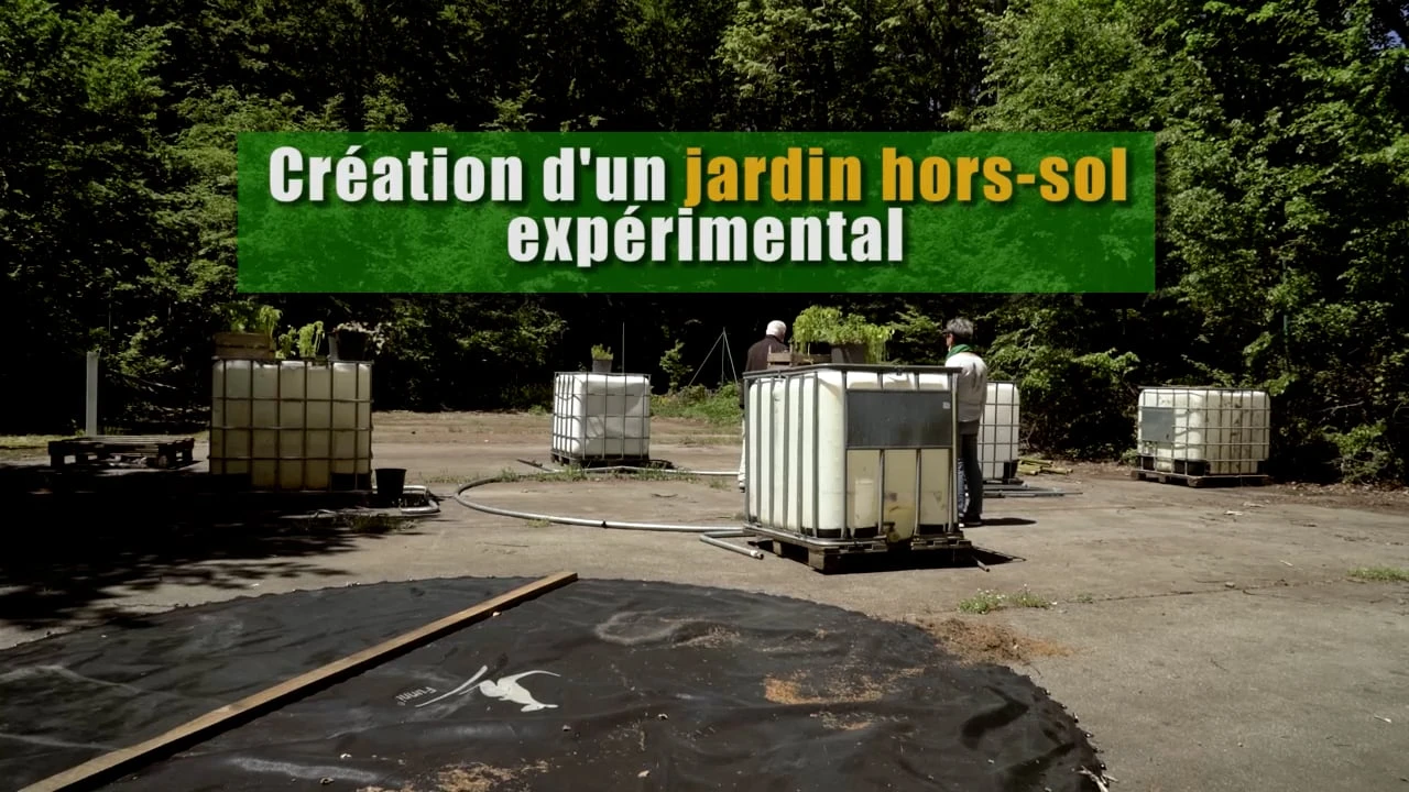 Créer un jardin hors sol sur du béton